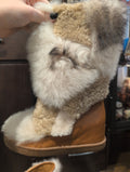 Shoes - Boots (Coach)